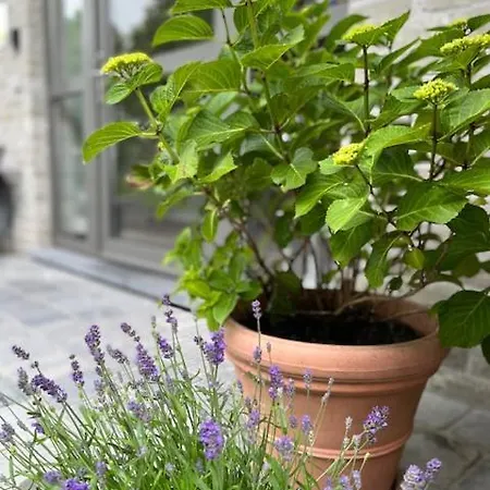 Дом отдыха Maneschijn**** Миделкерк