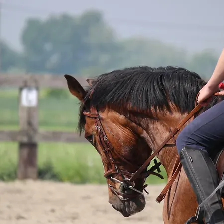 בית נופש Maneschijn****