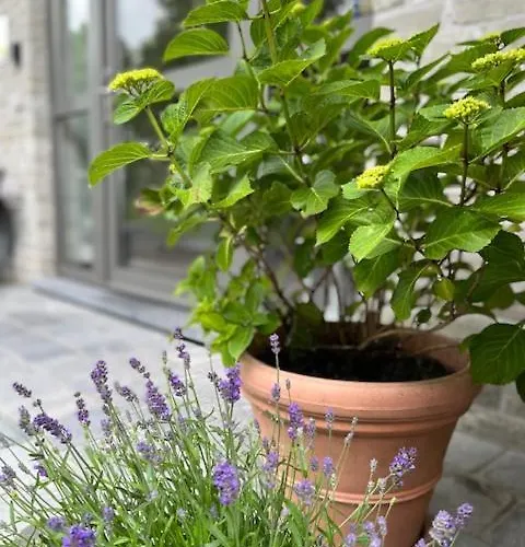 펜션 Maneschijn**** 미들케르케