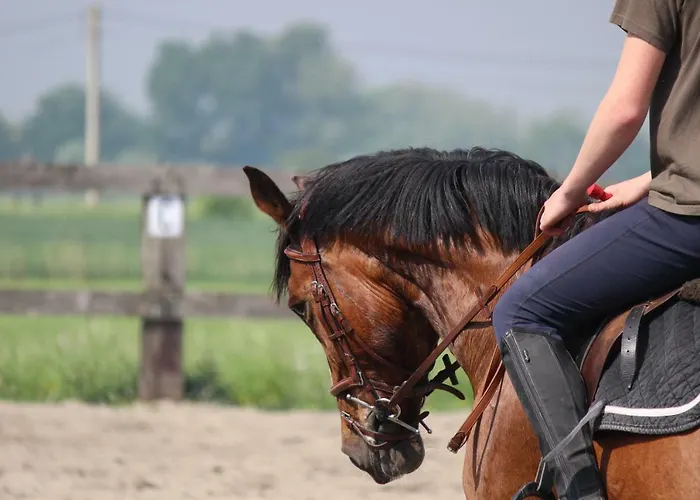 펜션 Maneschijn****